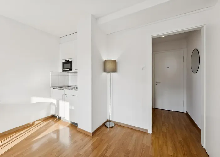 Lovely In The Center - Crown 1 Zurich